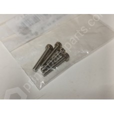 Fastening screw