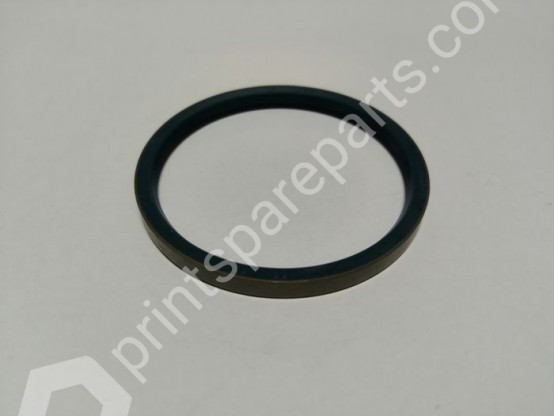 Sealing ring