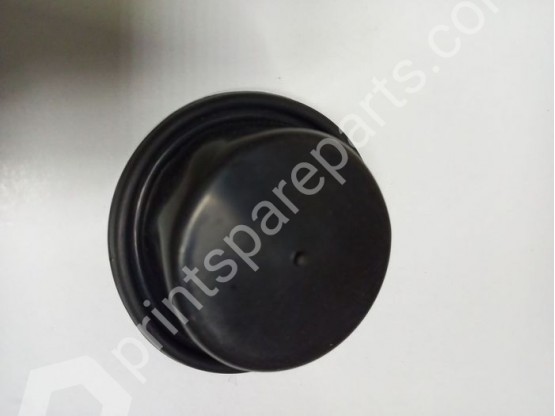 Membrane for chamber inlet assembly