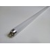 Fluorescent lamp
