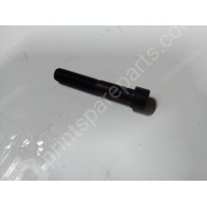 Pad mounting bolt