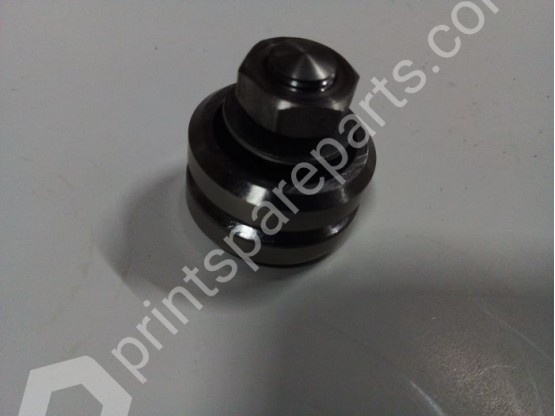 Trunnion bearing