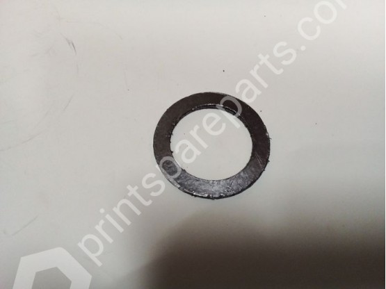 Graphite gasket