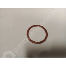 Graphite gasket