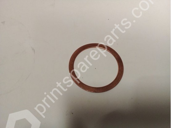 Graphite gasket