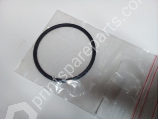 O-ring