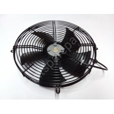 Fan