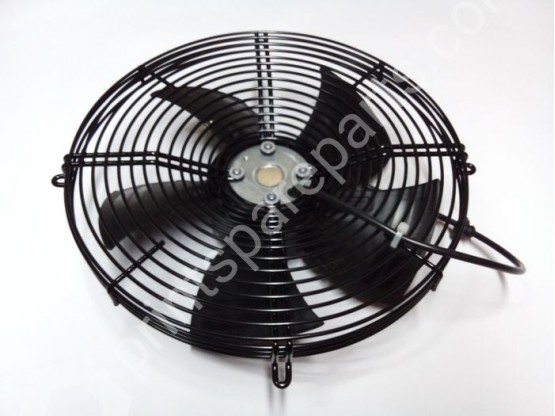 Fan