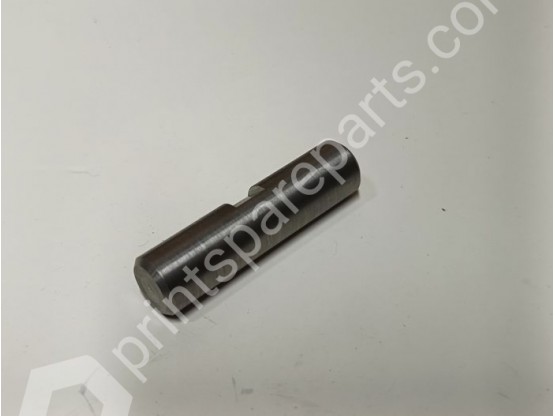 Pin