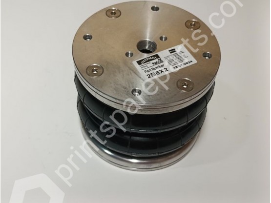 Pneumatic cushion