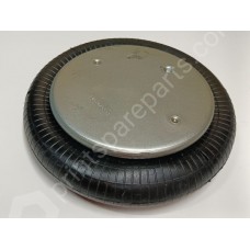 Pneumatic cushion