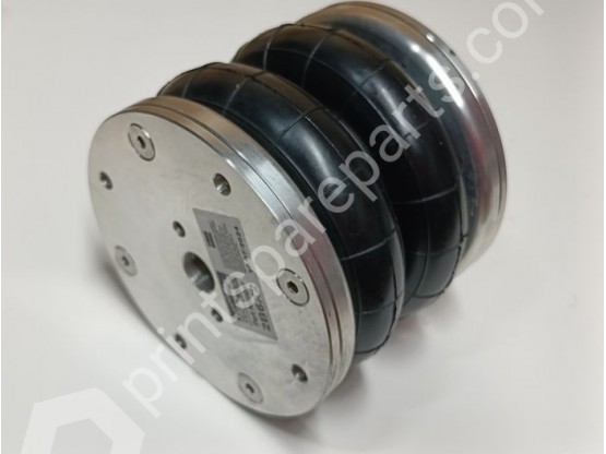 Pneumatic cushion
