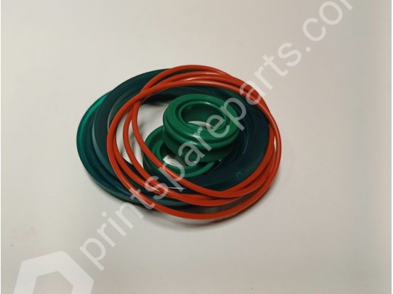 Pneumatic cylinder repair kit